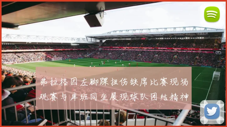 弗拉格因左脚踝扭伤缺席比赛现场观赛与库班同坐展现球队团结精神